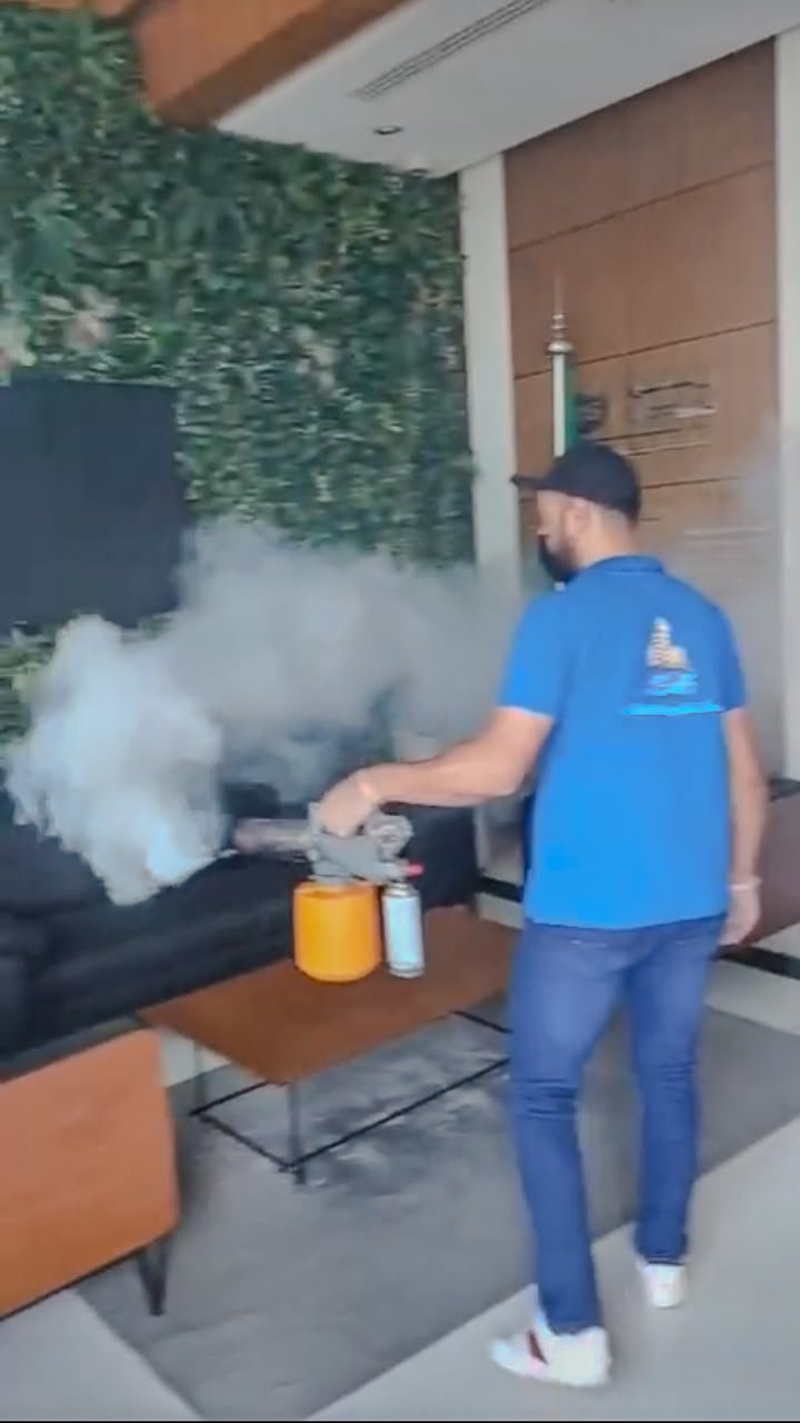 من الصور المقدمة لأعمال خيوط حرير — مكافحة الحشرات والقوارض